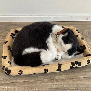 May include: A black and white plush cat curled up in a beige pet bed. The bed has a paw print pattern and a brown leather collar with a silver tag. The cat is sleeping on a white, fluffy surface.