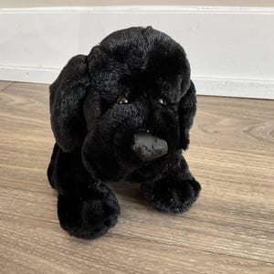 Puede incluir: Perro de peluche negro con ojos marrones y nariz negra. El perro está sentado en un suelo de madera.
