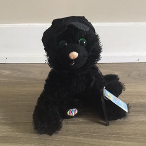 Peut inclure: Chat en peluche noir portant un chapeau noir avec des yeux verts. Le chat a un nez rose et une étiquette Webkinz attachée à sa patte.