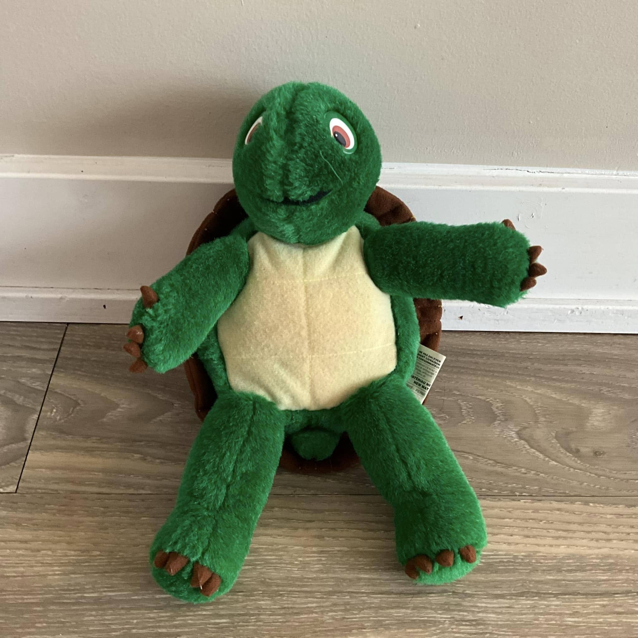 Franklin the Turtle - Etsy Canada