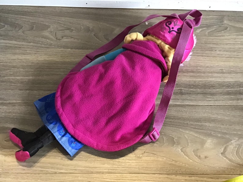 May include: A pink and blue plush backpack with a character from the movie Frozen. The backpack has a pink strap and a pink hood with a white design.