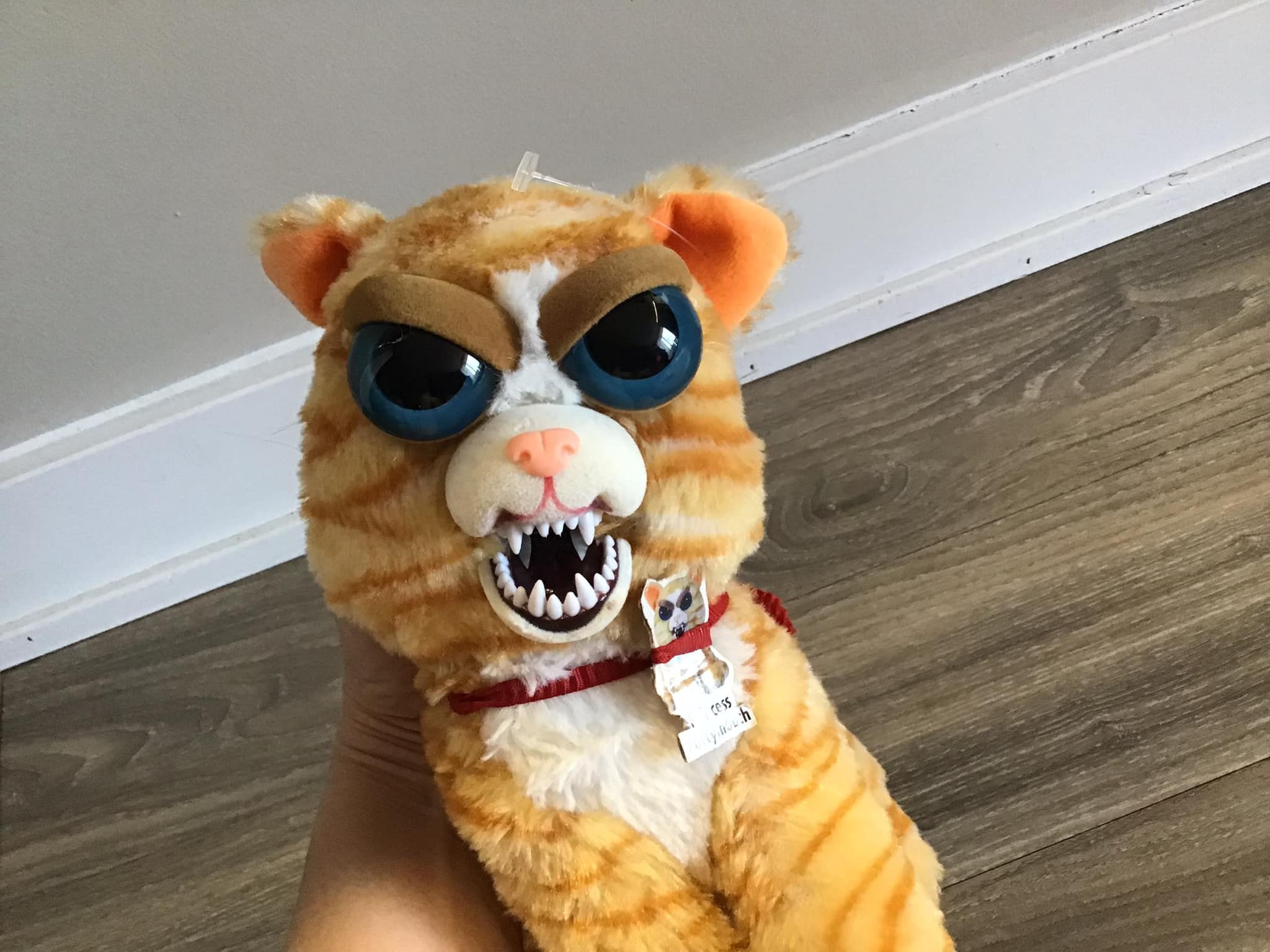 Feisty pets princess pottymouth cat sales