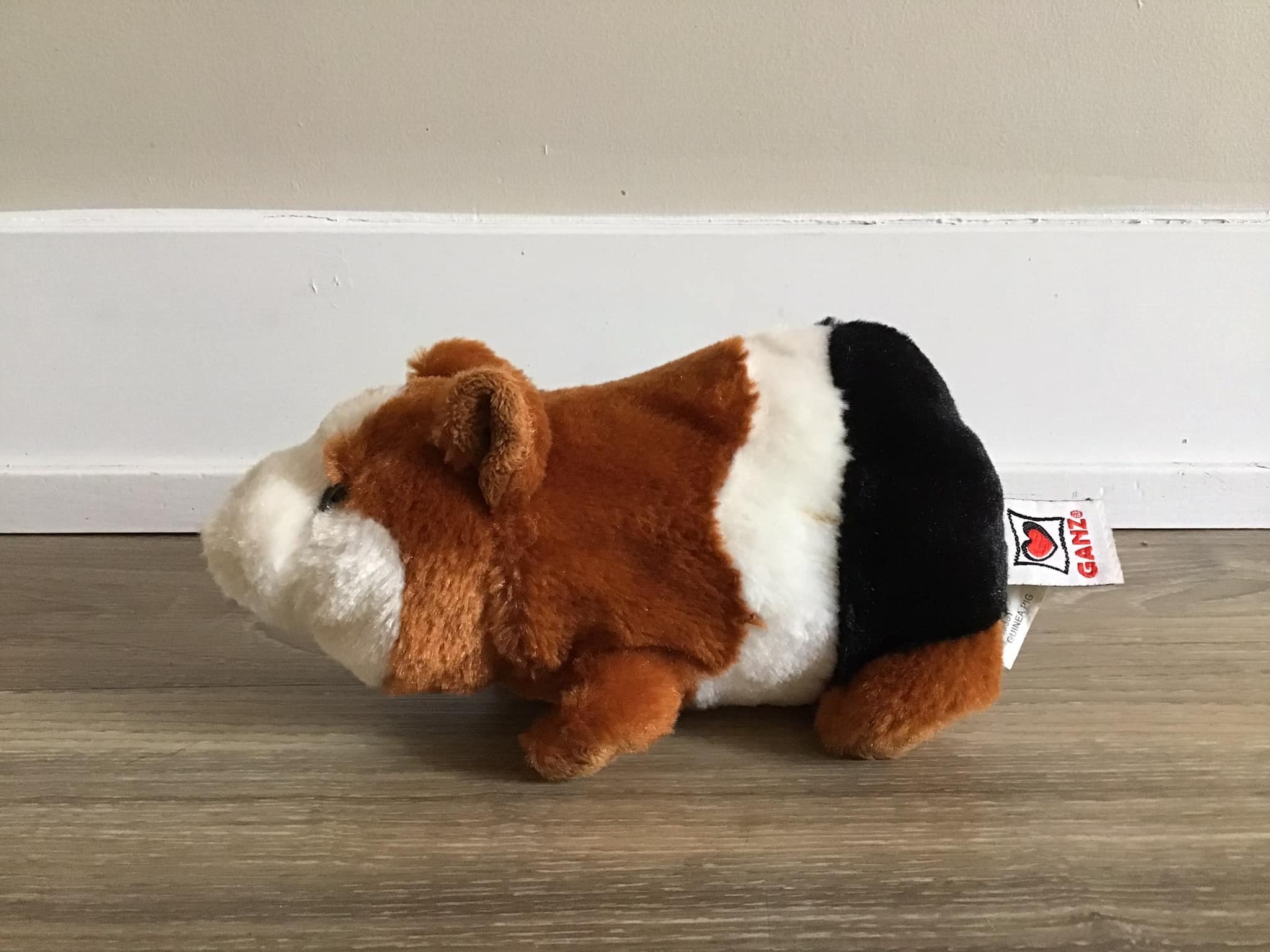 Webkinz guinea pig cheap