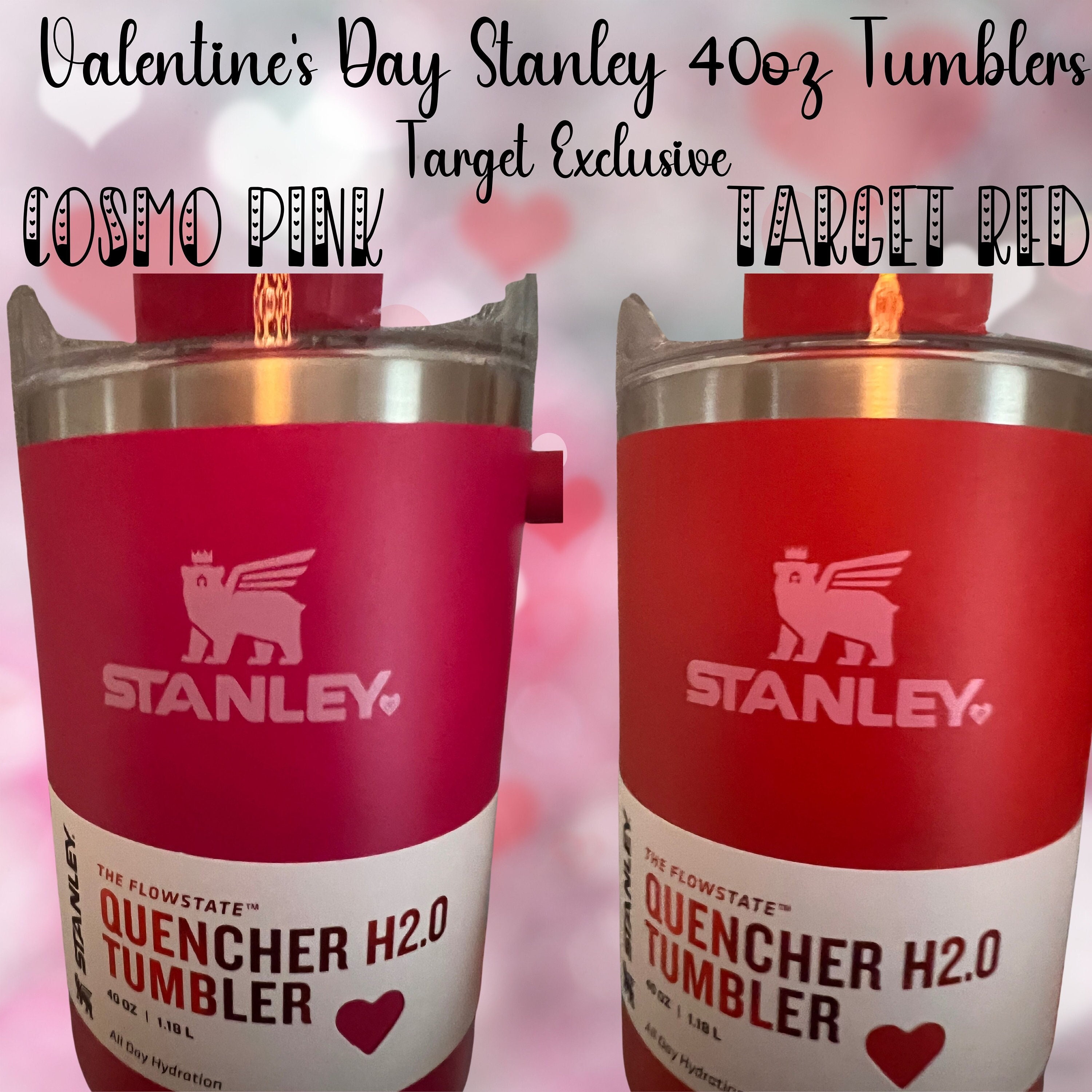 Stanley Valentines Day Heart 40 oz Target Exclusive Red Tumbler In Hand!