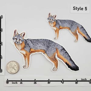 Woodland Creatures Sticker Pack – Eastern Fox Squirrel | Raccoon | Opossum | Common Striped Skunk | Gray Fox | Bobcat - Forest Wildlife image 6
