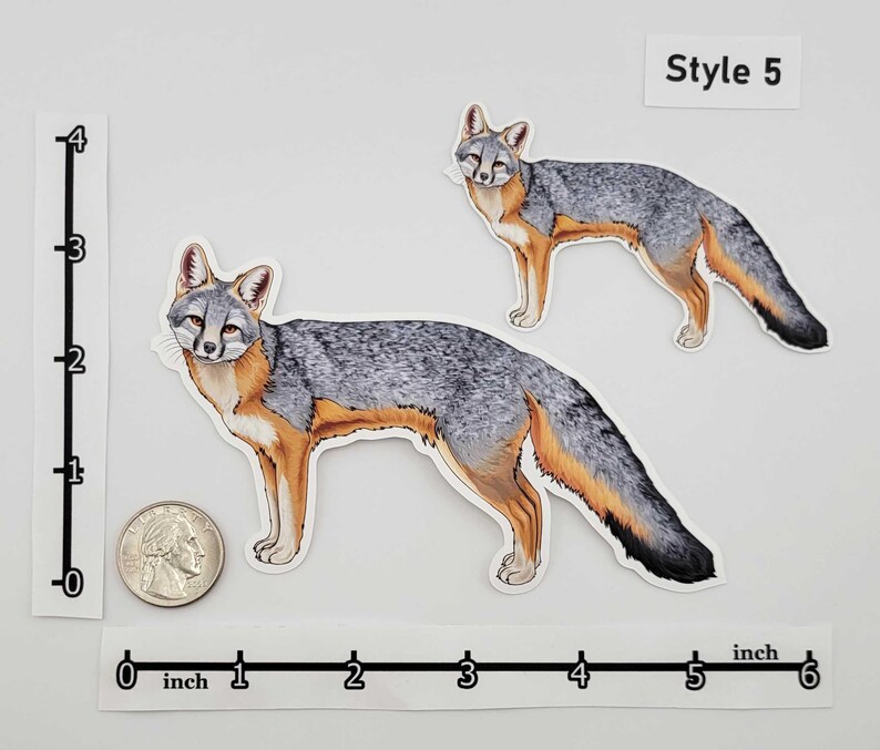 Woodland Creatures Sticker Pack – Eastern Fox Squirrel | Raccoon | Opossum | Common Striped Skunk | Gray Fox | Bobcat - Forest Wildlife image 6