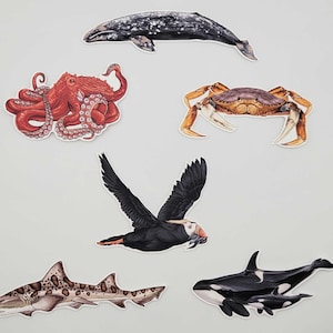 May include: A collection of six die-cut stickers featuring a gray whale, a red octopus, a brown crab, a black and white puffin in flight, a spotted leopard shark, and a black and white orca whale with a calf, all displayed on a neutral background.