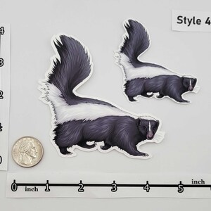 Woodland Creatures Sticker Pack – Eastern Fox Squirrel | Raccoon | Opossum | Common Striped Skunk | Gray Fox | Bobcat - Forest Wildlife image 5