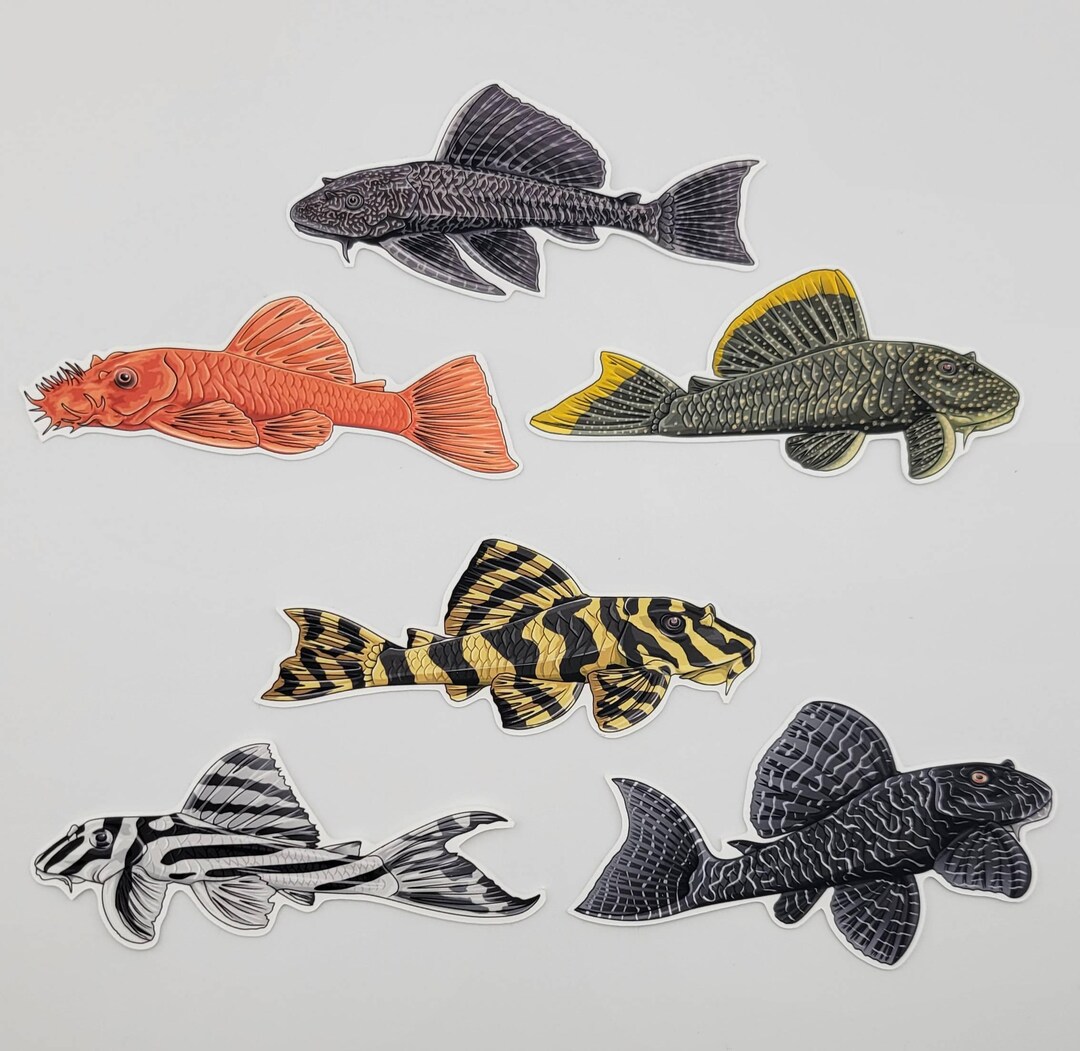 Pleco Sticker Pack – Set of 6 Vinyl Decals – Common | Super Red ...