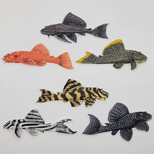 Könnte beinhalten: Eine Sammlung farbenfroher Fischaufkleber. Die Aufkleber zeigen verschiedene Arten, darunter einen roten Fisch, einen schwarzen Fisch und einen Fisch mit gelben und schwarzen Streifen. Die Aufkleber sind mit detaillierten Illustrationen gestaltet.