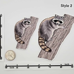 Woodland Creatures Sticker Pack – Eastern Fox Squirrel | Raccoon | Opossum | Common Striped Skunk | Gray Fox | Bobcat - Forest Wildlife image 3