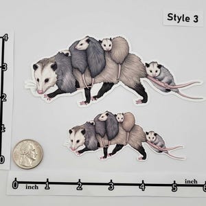 Woodland Creatures Sticker Pack – Eastern Fox Squirrel | Raccoon | Opossum | Common Striped Skunk | Gray Fox | Bobcat - Forest Wildlife image 4