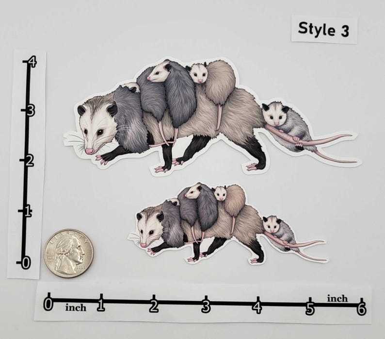 Woodland Creatures Sticker Pack – Eastern Fox Squirrel | Raccoon | Opossum | Common Striped Skunk | Gray Fox | Bobcat - Forest Wildlife image 4