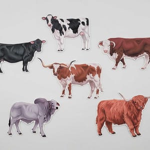 Puede incluir: Un conjunto de pegatinas recortadas que representan varias razas de ganado. Las pegatinas incluyen un Angus negro, un Holstein con manchas blancas y negras, un Longhorn rojo y blanco, un Hereford marrón, un Brahman gris y una vaca de las Highlands rojiza.