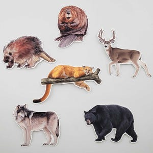 May include: A collection of six die-cut stickers featuring realistic illustrations of North American wildlife: a brown beaver, a spiky porcupine, a tan deer with antlers, a mountain lion resting on a tree branch, a grey wolf, and a black bear.