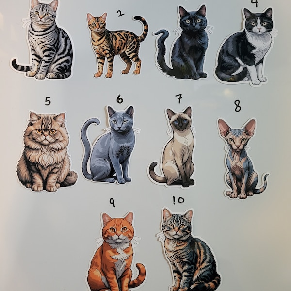 Cat Breed Stickers - American, Bengal, Bombay, Domestic Shorthair, Orange Tabby, Persian, Russian Blue, Siamese, Sphynx, Tabby - Set of 10