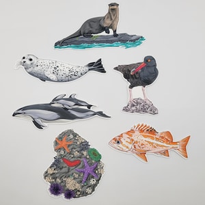 May include: A set of six colorful stickers featuring various marine animals, including a sea otter, a seal, a dolphin, a black oystercatcher, a red rockfish, and a coral reef with starfish and sea urchins.