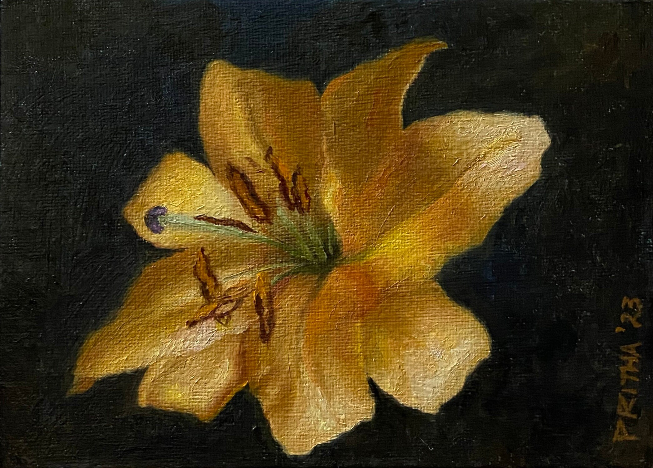 Original Oil Painting - A Lily