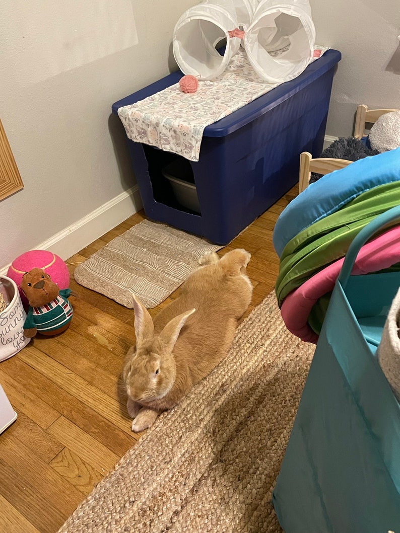 All Natural Rabbit Fertilizer Etsy