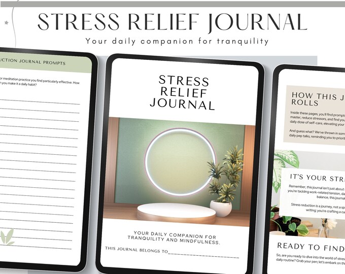 Stress Relief Journal Daily Journal Prompts for Leaders Anxiety Journal for Stress Reduction Self Care Planner Goodnotes Journal Anxiety