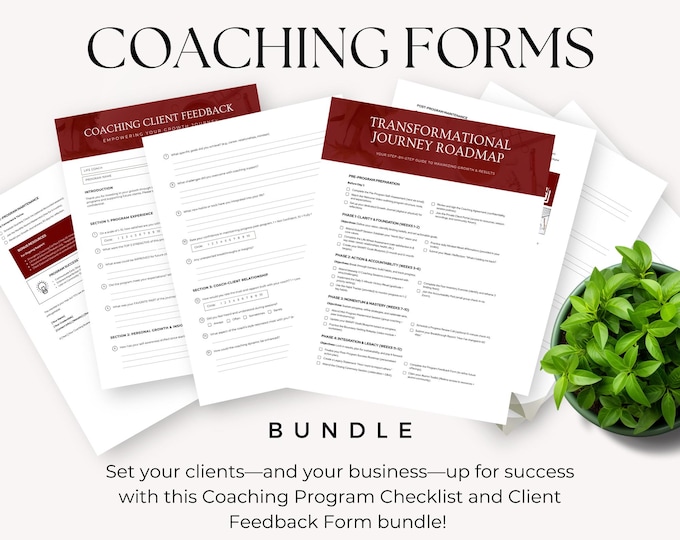 Coaching Program Checklist & Client Feedback Form, Business Coach Kit, Life Coaching Tool, Session Checklist, Business Template