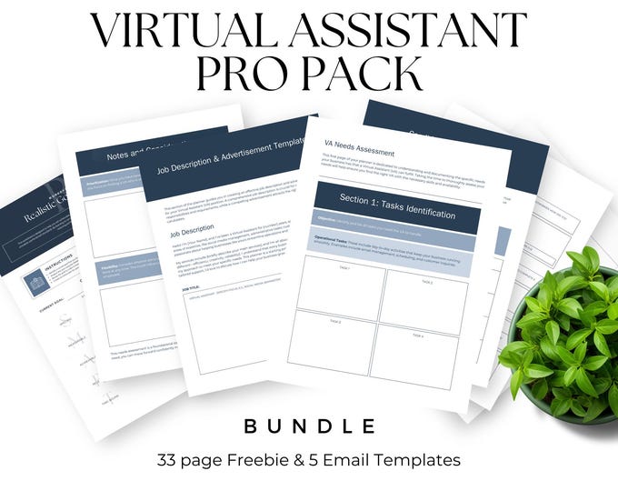 Virtual Assistant Freebie & Email Pack, Virtual Assistant Lead Magnet, Business Template, Client Onboarding, Business Proposal, Email file