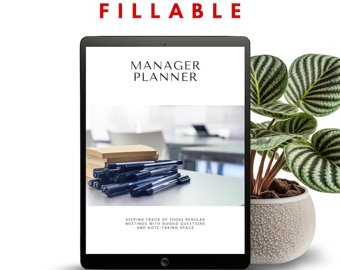 Fillable Manager Planner for Small Business Project Management, Meeting Minutes, Weekly Goals, Daily Planner Business Template, Goodnotes
