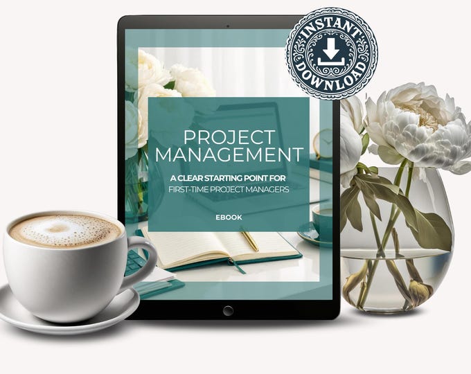 Project Management Career Guide for Beginners, First-Time Project Manager Ebook