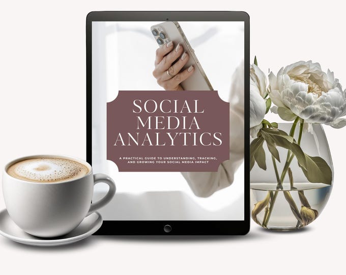 Social Media Analytics eBook, Instagram Analytics Guide, Digital Marketing, Business Organizer, Virtual Assistant Social Media Kit PDF