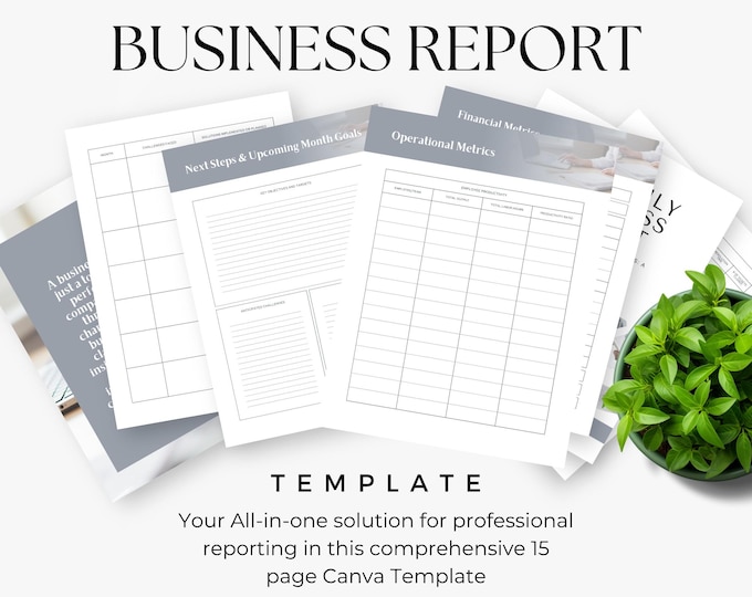 Monthly Business Report template, Monthly Tracking, Small Business Project Management, Executive Summary, Corporate Reports