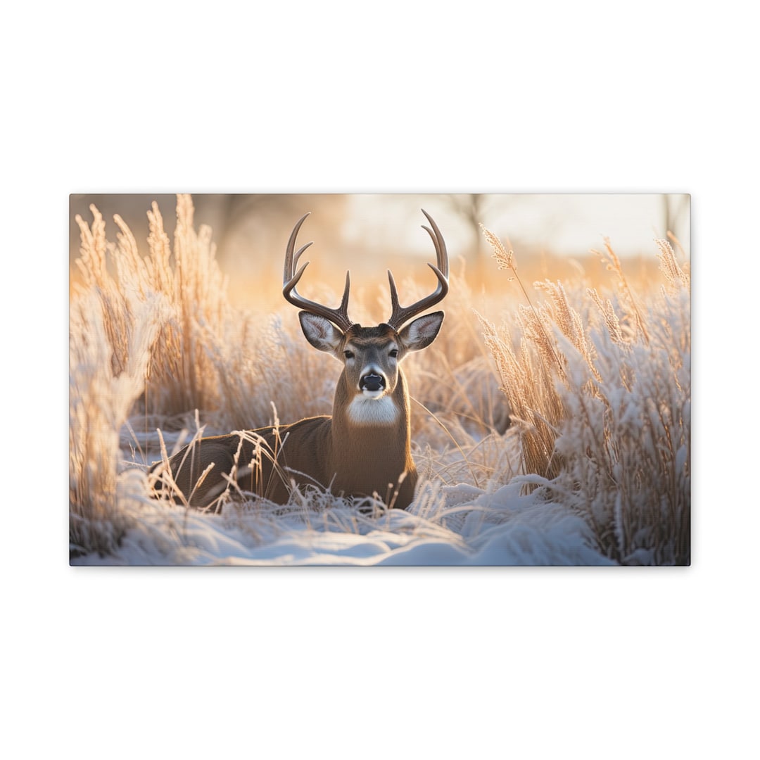 Whitetail Buck Canvas Stretched, 0.75 - Etsy