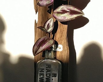 Hanging Driftwood & Antique Bottle Flower Vase