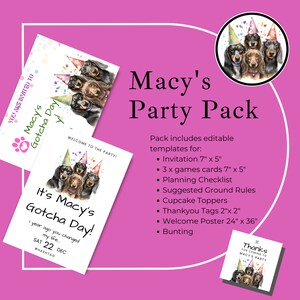 Macy Long Haired Daschund Mega Party Pack for Dog Birthdays and  Gotcha Days