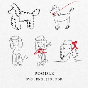 Op de afbeelding: Zes zwart-witte illustraties van poedels met krullen en rode strikken. Het woord "POODLE" staat vetgedrukt eronder, samen met de bestandstype-opties: SVG, PNG, JPG en PDF.
