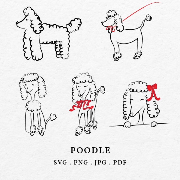 Poodle Dog Illustration PNG SVG Bundle - Hand Drawn Dog Clipart, Drawing Standard Poodle Icon, Sketch Miniature Poodle With Red Bow Art