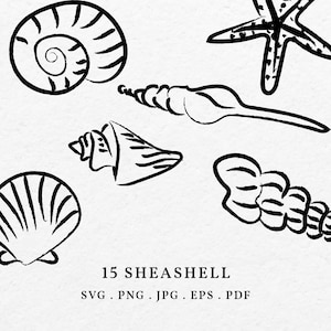 Pacchetto illustrazione conchiglia SVG PNG - Clipart costiero nautico disegnato a mano, schizzo di vita marina, disegno di contorni di ostriche, arte di schizzo di conchiglia