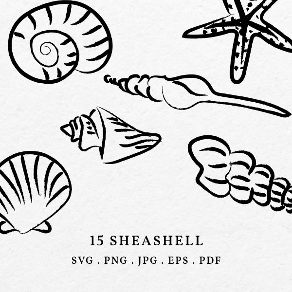 Seashell Illustration Bundle SVG PNG - Hand Drawn Nautical Coastal Clipart, Marine Life Sketch, Drawing Oyster Outline, Shell Sketch Art