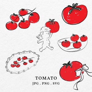 Tomaat illustratie illustraties Doodle bundel SVG PNG - handgetekende grillige tomaten overzicht pictogram voor huwelijksuitnodiging vrijgezellenfeest