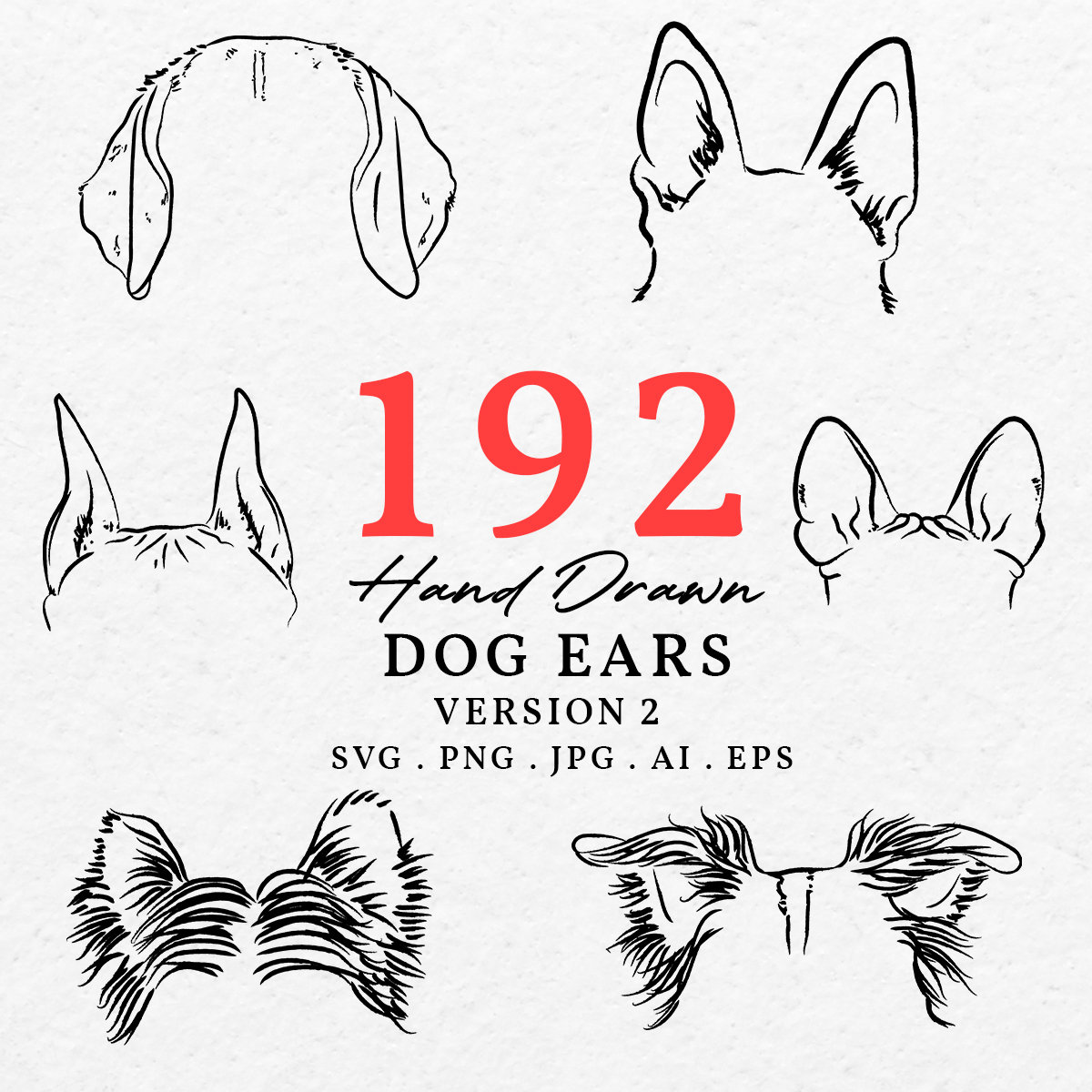 Hand Drawn Dog Breed Ears Illustration SVG PNG Bundle Drawing Dogs ...