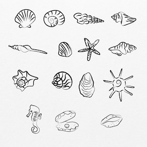 seashell drawing outline SVG PNG