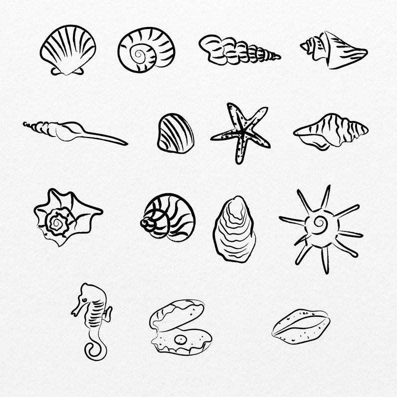seashell drawing outline SVG PNG