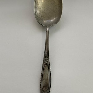 Puede incluir: Una cuchara de plata vintage con un cuenco ovalado y un mango largo y ornamentado. El mango presenta un diseño floral detallado y un borde decorativo. La cuchara tiene un aspecto deslustrado, lo que sugiere edad y uso. Mide unos 20 cm.
