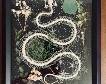 May include: A framed art piece featuring a snake skeleton arranged in a coiled pattern. The artwork includes dried flowers, greenery, and glitter accents on a dark background, all encased in a black frame.