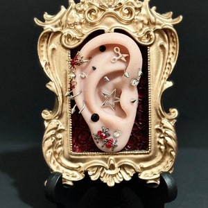 May include: A gold-framed miniature display featuring a sculpted ear with multiple piercings and various jewelry, including stars, studs, and a pair of red spiders.