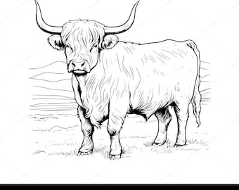 Highland Kuh SVG, Highland Kuh PNG, Highland Kuh Vektor Clipart, Tiere vom Bauernhof SVG, Highland Kuh Becher Design, Kuh Shirt digitaler Download