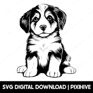 Berner Sennenhund SVG, Berner Sennenhund SVG, Berner Sennenhund Shirt SVG Png, Berner Mama Becher Design, Welpe Vektorkunst, Gravurdatei