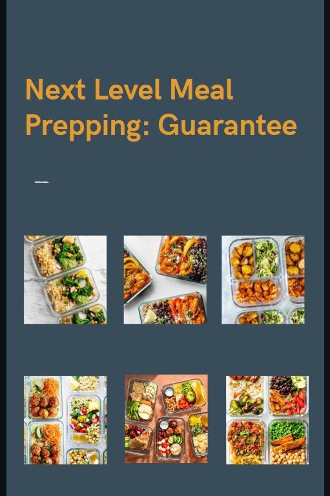 Next Level Meal Prep Guide - Etsy
