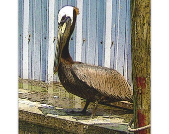 Pier 19 Pelican, Galveston, Pelican, Satin Poster Coastal Nautical Beach House Wall Decor