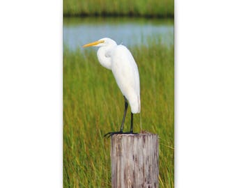 Vit hägrar vid Texas Gulfkusten - Canvastavla - Konst för kustnära djurliv - Naturfotografi - Väggdekoration - Gåva för fågelälskare