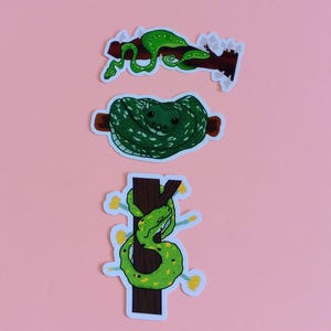 May include: Three stickers featuring green snakes. One snake is coiled on a branch, another is curled up, and the third is wrapped around a tree branch. The stickers have a white border and are set against a pink background.